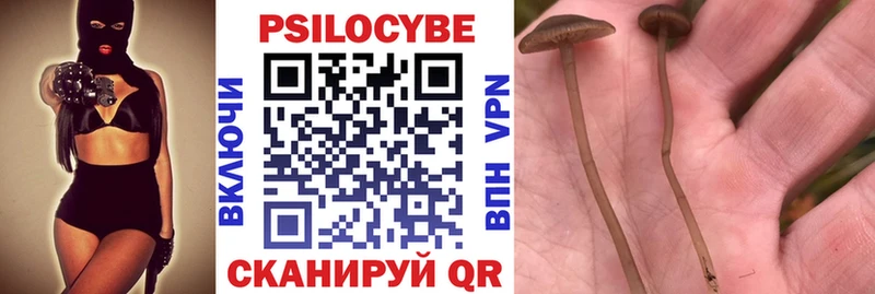 Галлюциногенные грибы Cubensis  Меленки 